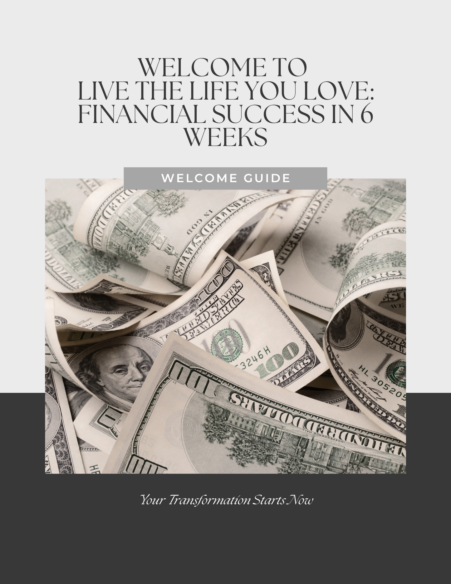 Live the Life You Love: Financial Success in 6 Weeks